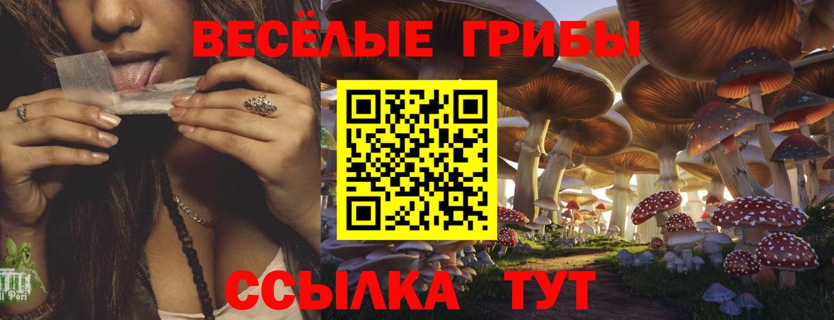 Галлюциногенные грибы прущие грибы  Вход с VPN  Псилоцибиновые грибы прущие грибы  Ипатово 